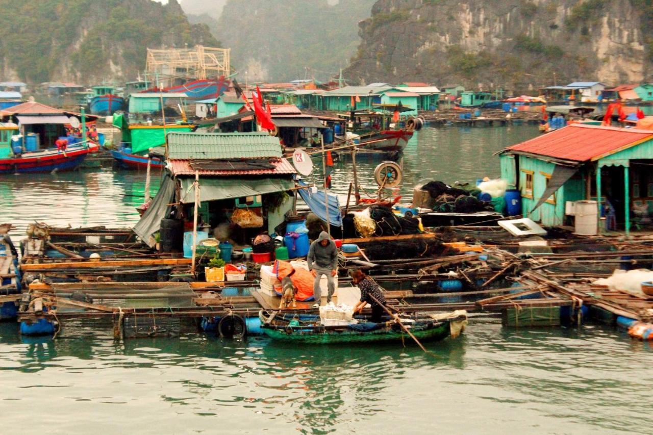 Aroma Cat Ba Sea View Khách sạn